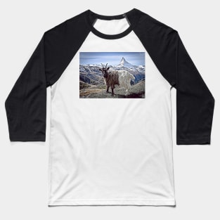 Matterhorn and Goat, Zermatt, Switzerland, Baseball T-Shirt